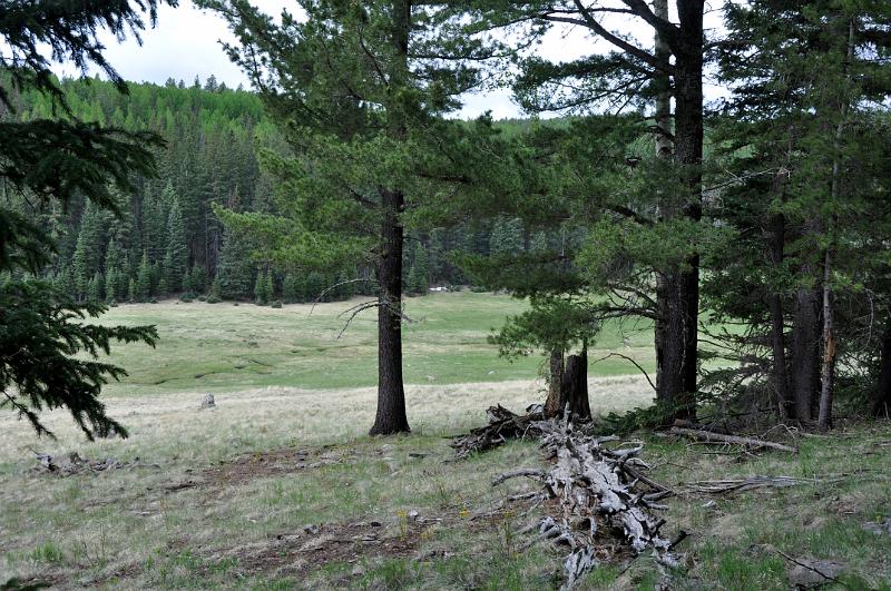 1006120913-Baldy 143.jpg